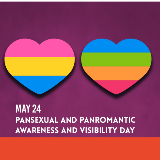 Pansexual Banner