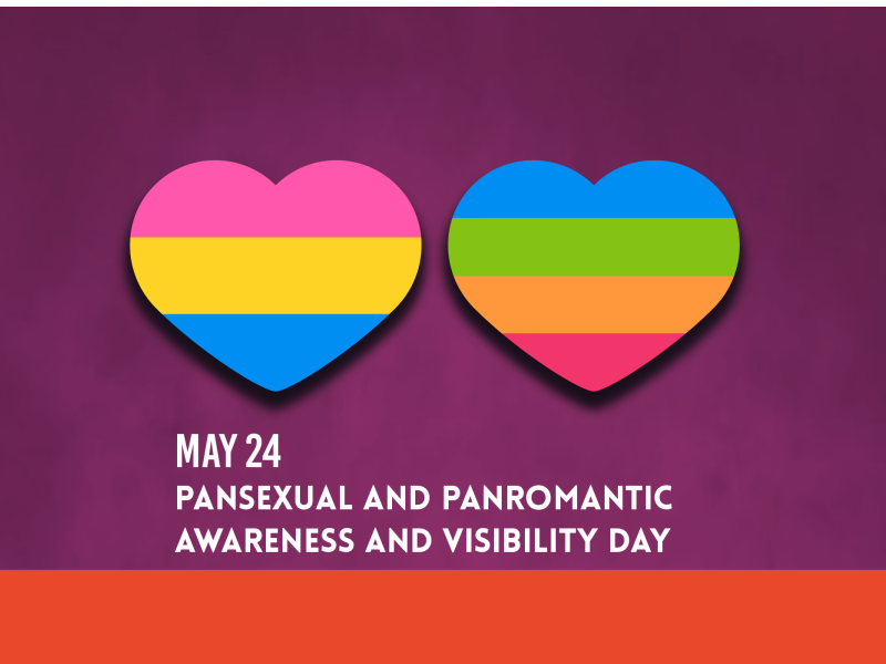 Pansexual Banner